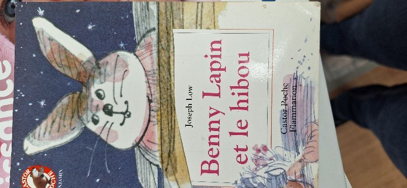 Benny lapin et le hibou | Joseph Low
