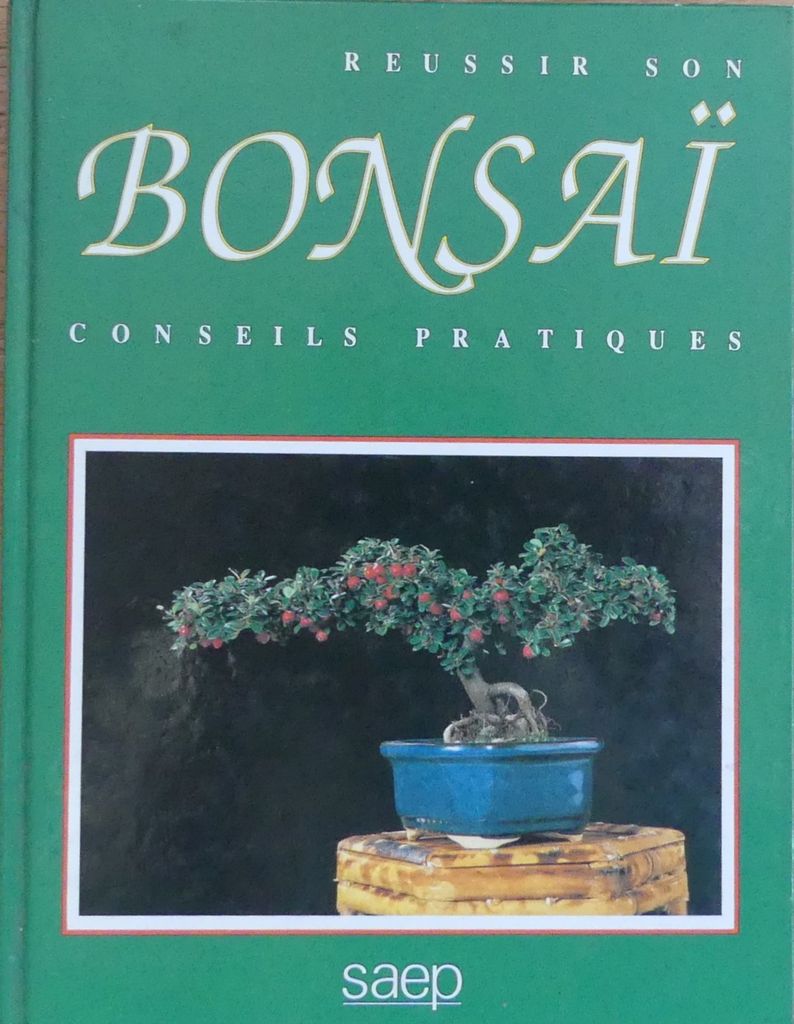 Réussir son bonsaï : conseils pratiques | Jean-Daniel Nessmann
