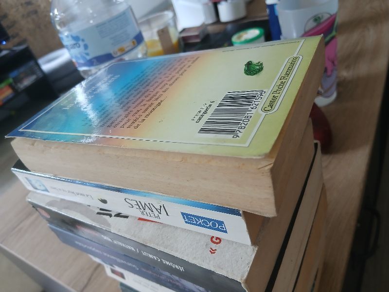 La Montagne aux secrets | Grace Chetwin