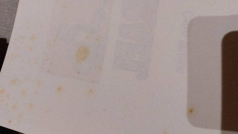 Robinson et Zoé | François Corteggiani, Philippe Bercovici