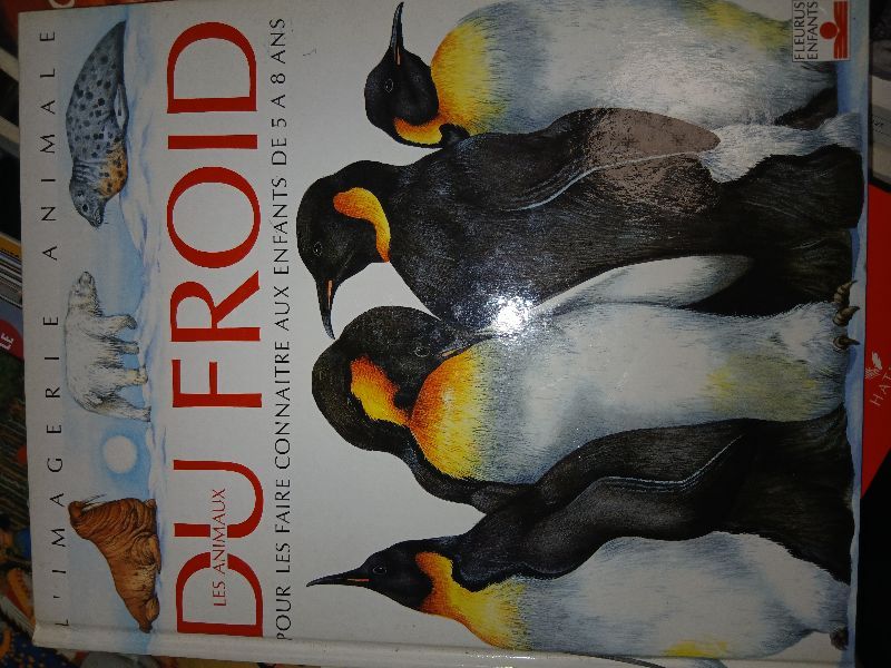 Les animaux du froid | Emilie Beaumont, Lindsey Selley, Lindsey Selley