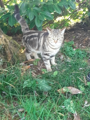 Bienvenue dans mon monde