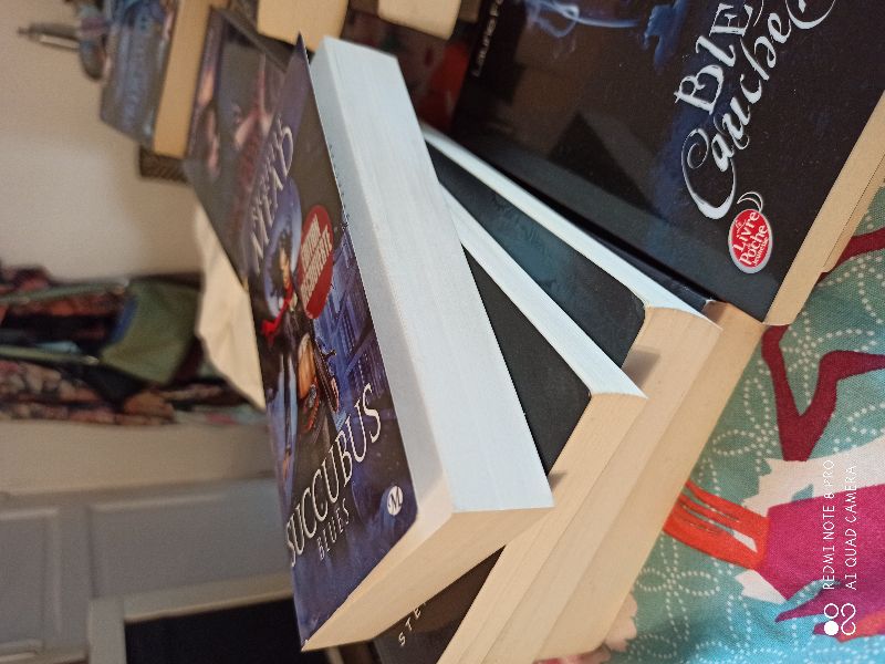 Succubus blues | Richelle Mead