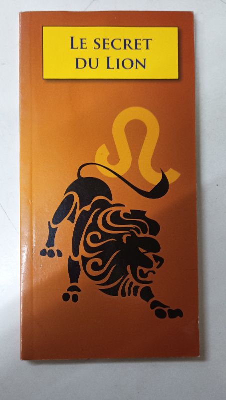 Le secret du lion | Lilian STERN