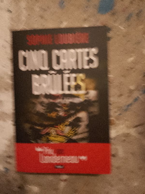 Cinq cartes brulees | Sophie Loubiere