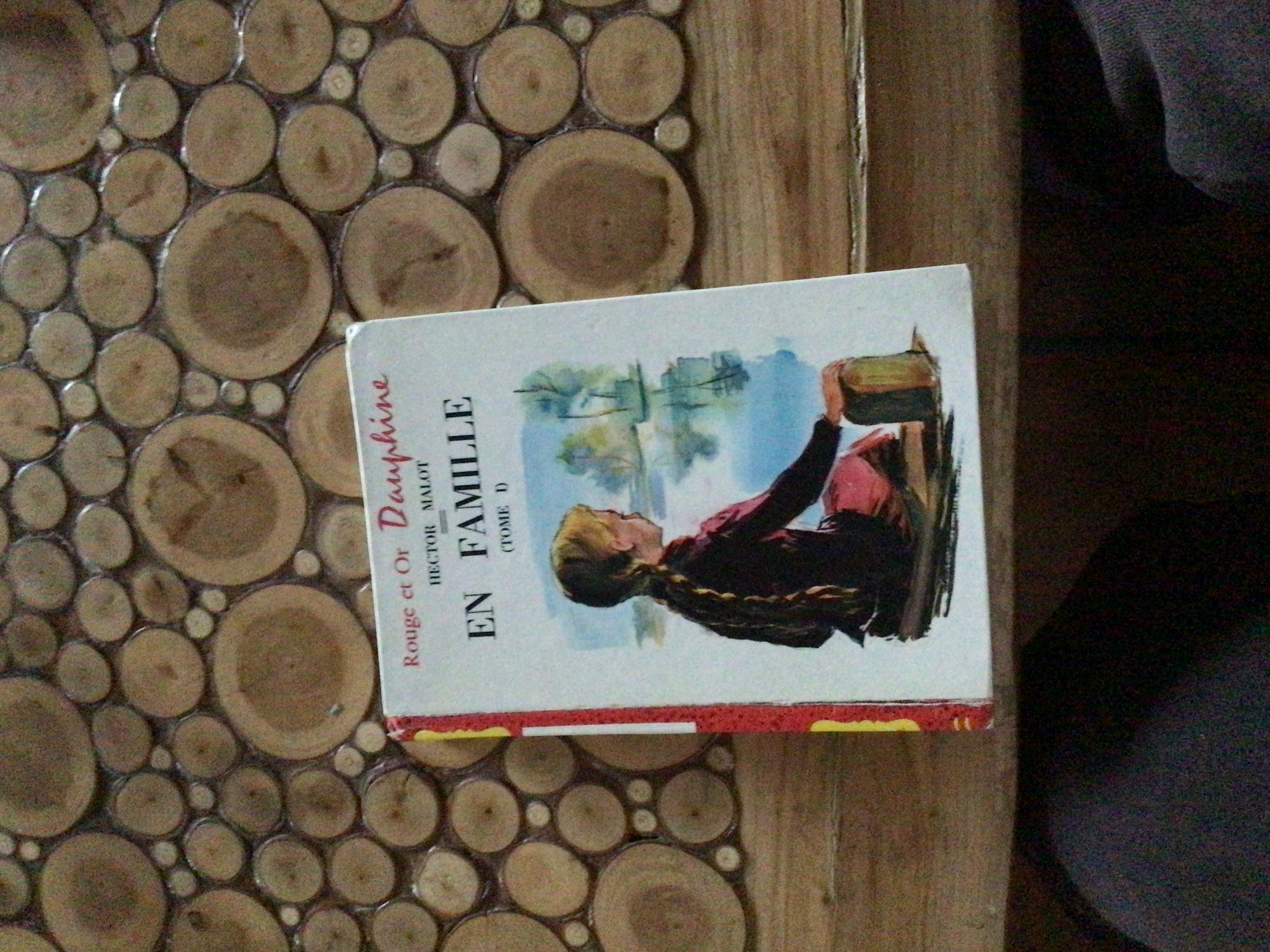 En famille tome 1 | Hector Malot