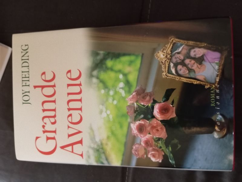 Grande avenue | Joy fielding
