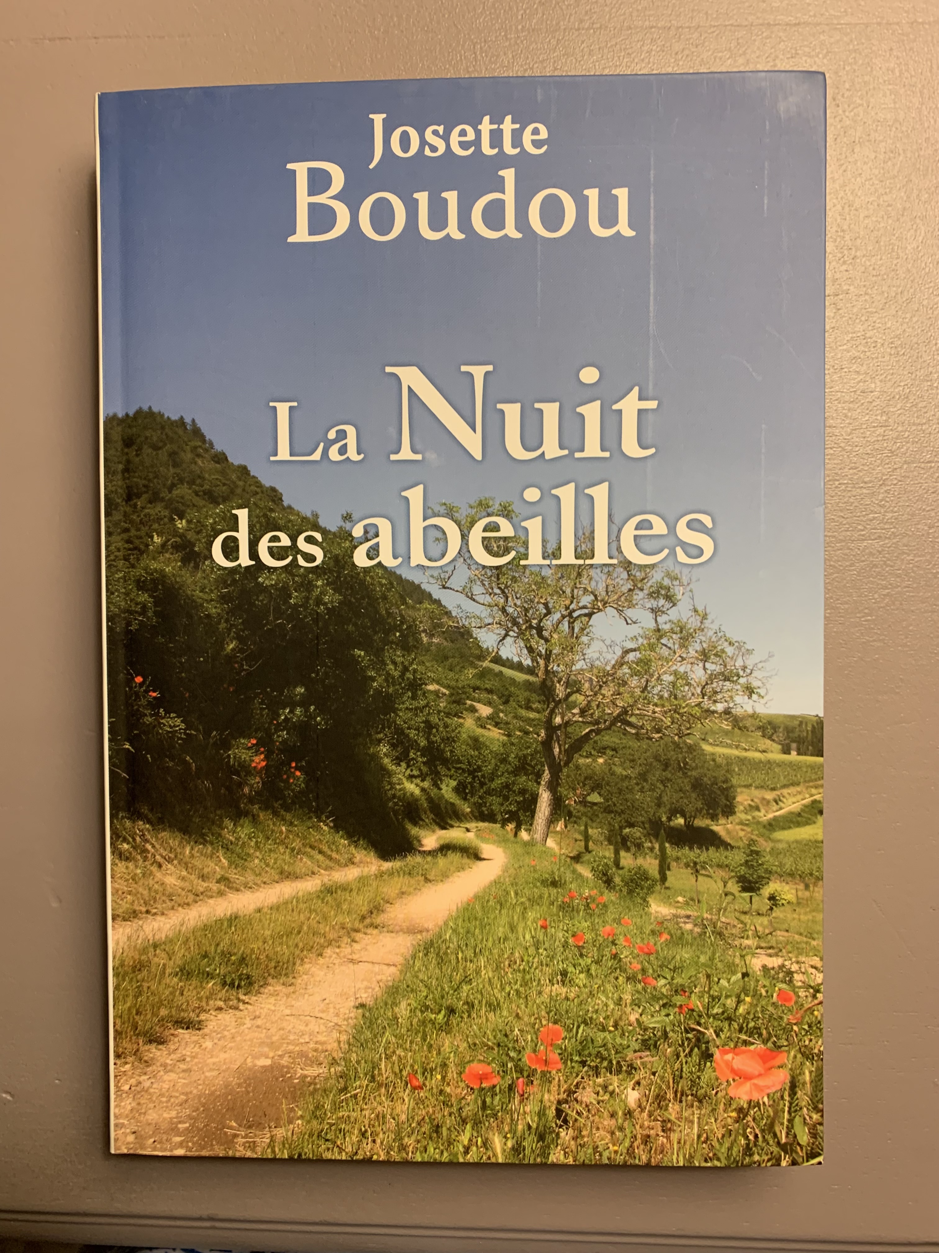 La Nuit des abeilles | Josette Boudou