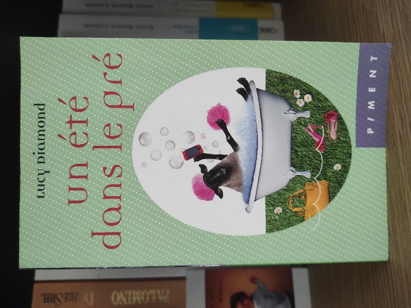 Un été dans le pré | Lucy Diamond