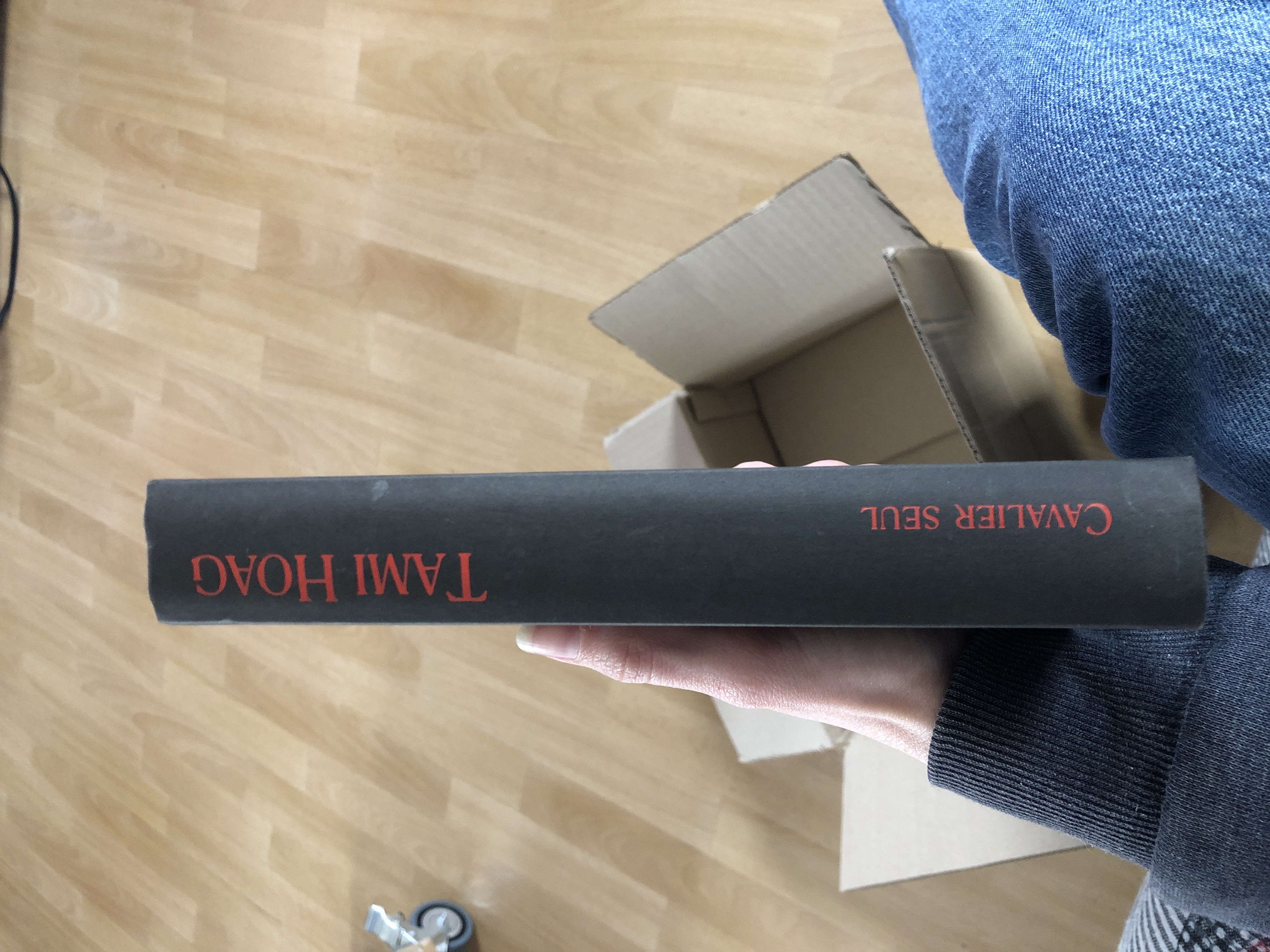 Cavalier seul | Tami hoag