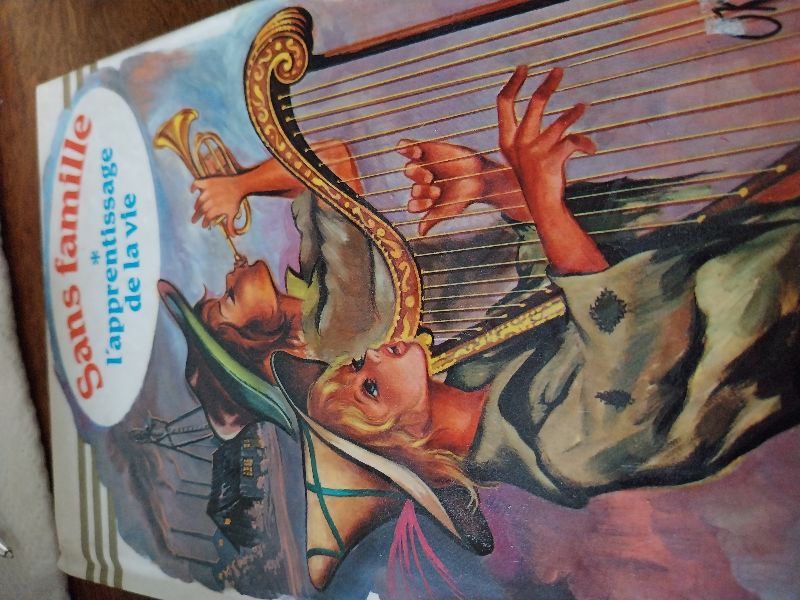 Sans famille l apprentissage de la vie | Hector Malot