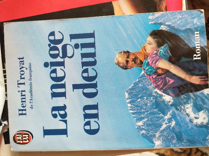 La neige en deuil | Henri Troyat