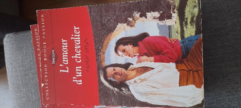 L amour d un chevalier | Sandy steen
