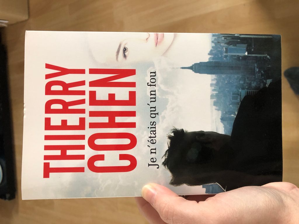 Je n’etais qu’un fou | Thierry cohen