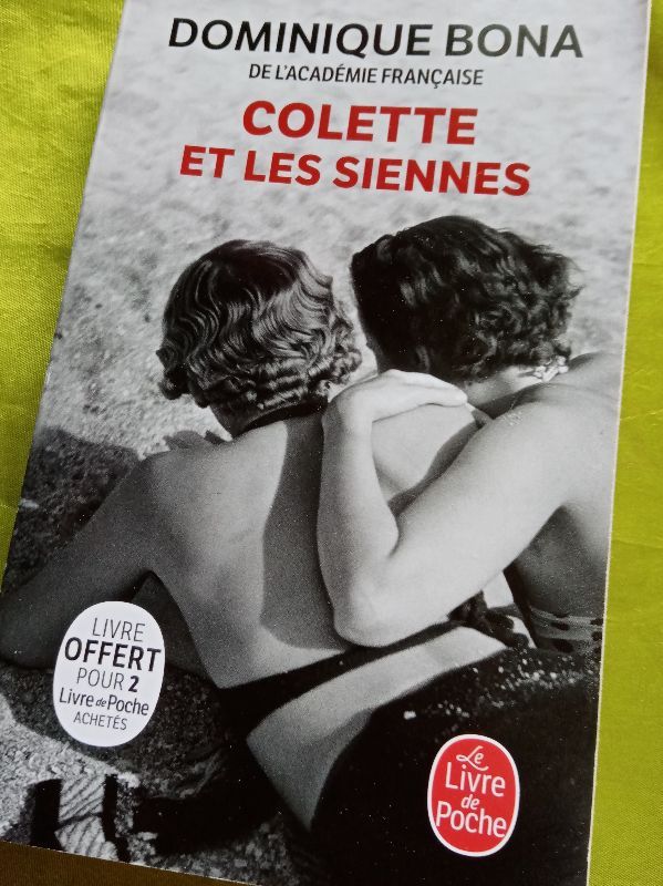 Colette et les siennes | Dominique Bona