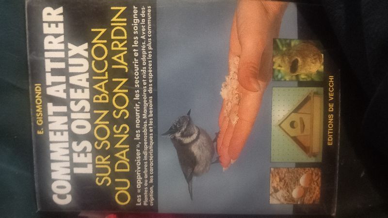 Comment attirer les oiseaux sur son balcon ou dans son jardin : les "apprivoiser", les nourrir, les secourir et les soigner | Elisabeth Gismondi