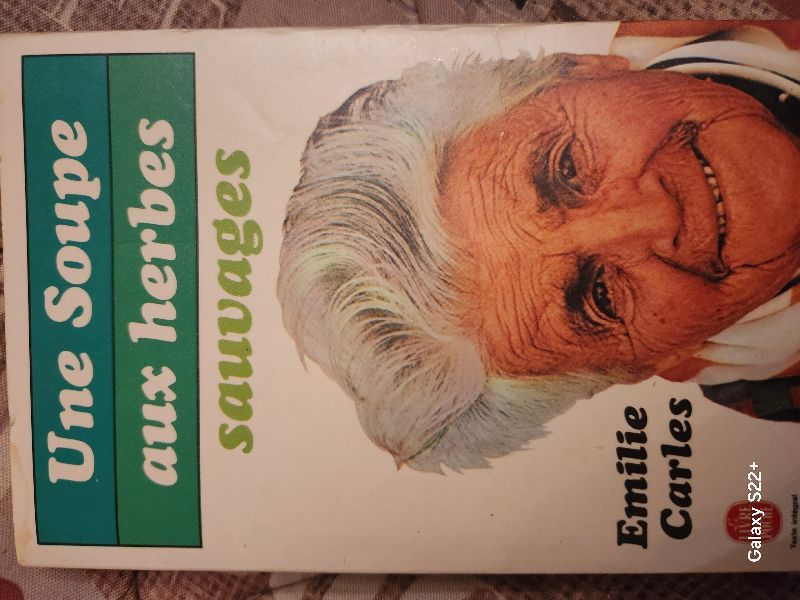 Une soupe aux herbes sauvages | Emilie Carles