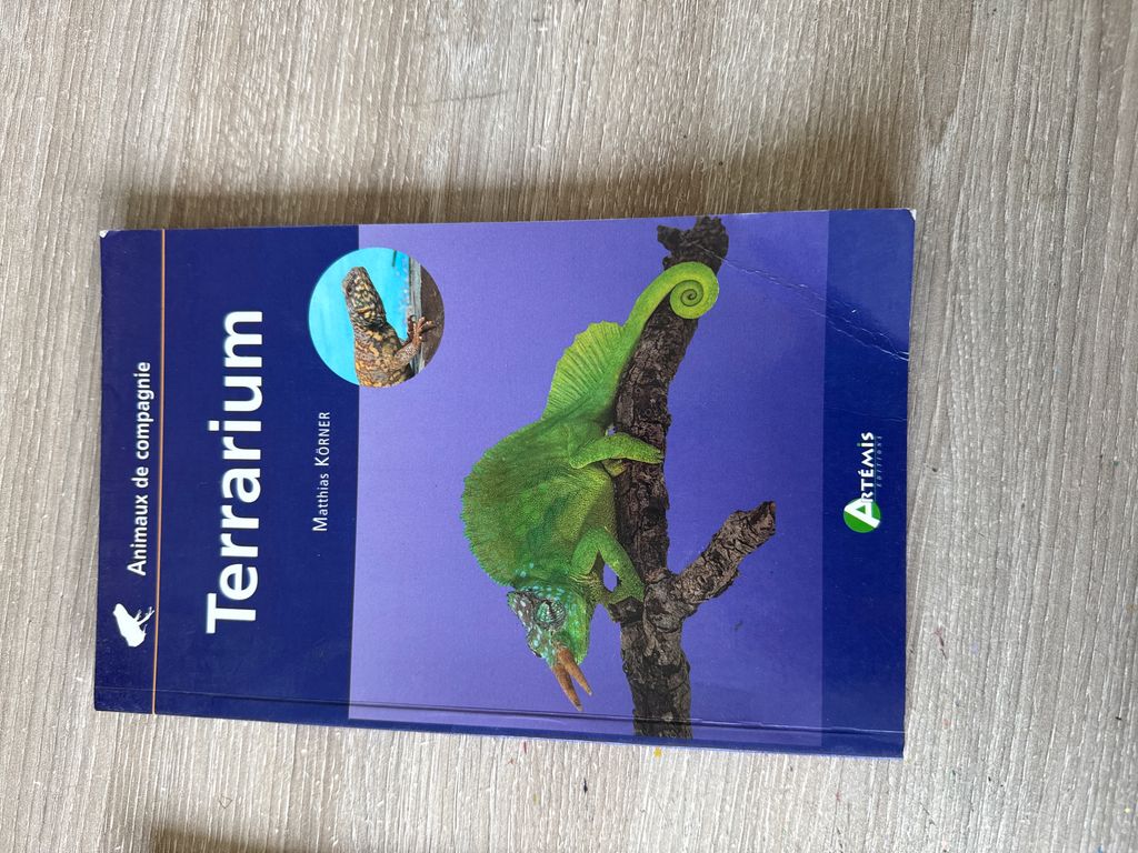 Terrarium pour débutants | Mathias Körner