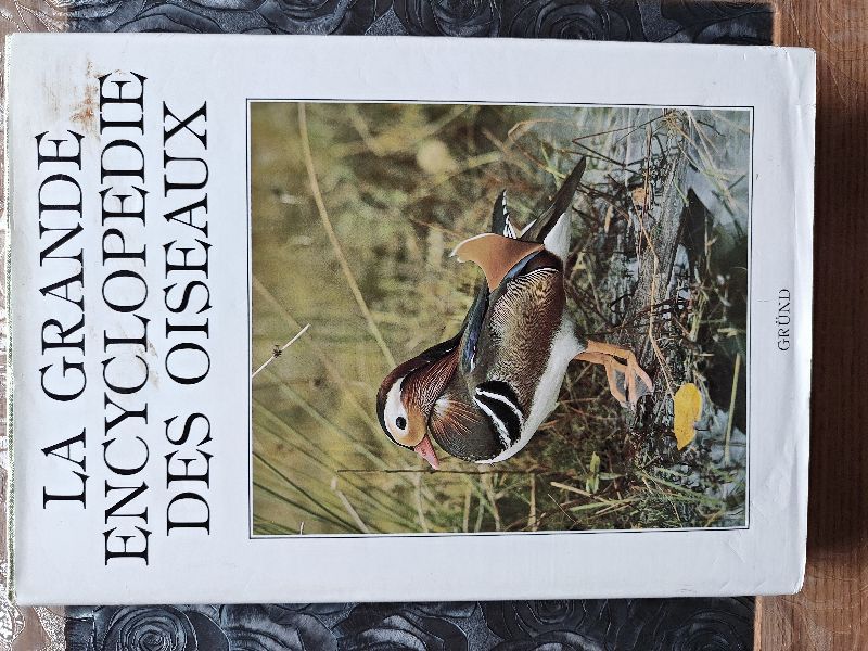 La Grande encyclopédie des oiseaux | Karel Stastny, Michel Cuisin, Dagmar Doppia