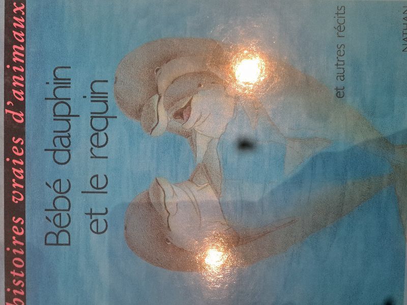Bébé dauphin et le requin : et autres récits | Michel Piquemal, Sylvie Lazourenko