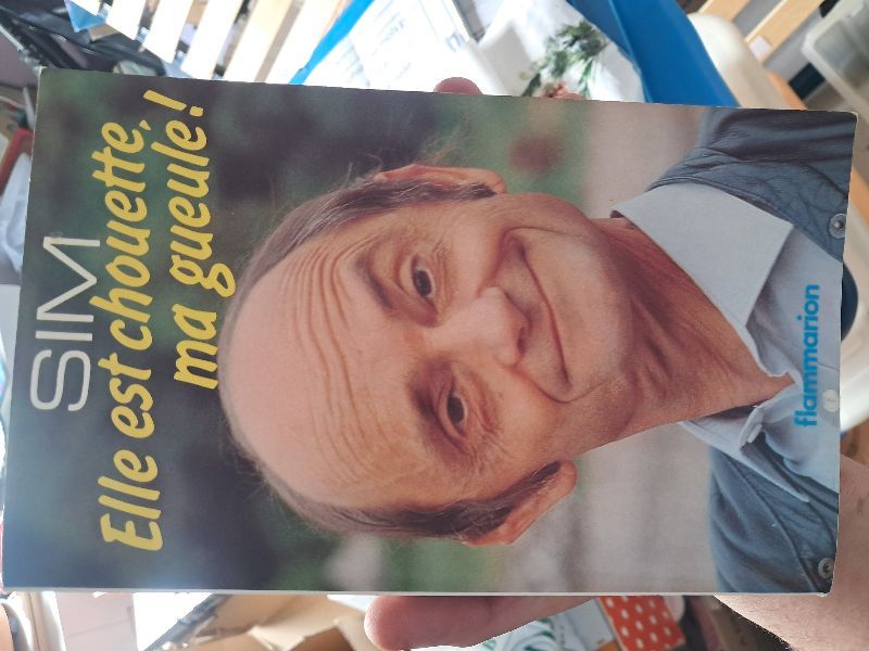 Elle est chouette, ma gueule ! | Sim