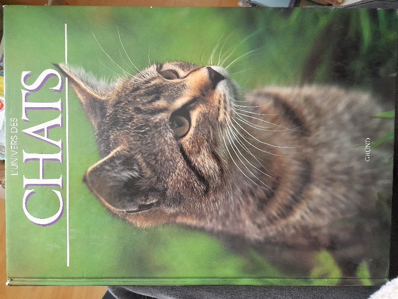 L'Univers des chats | Tom Howard