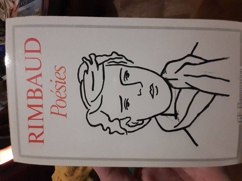 Oeuvres. Vol. 1 | Arthur Rimbaud, Jean-Luc Steinmetz
