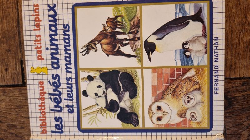 Les Bébés animaux et leurs mamans | 