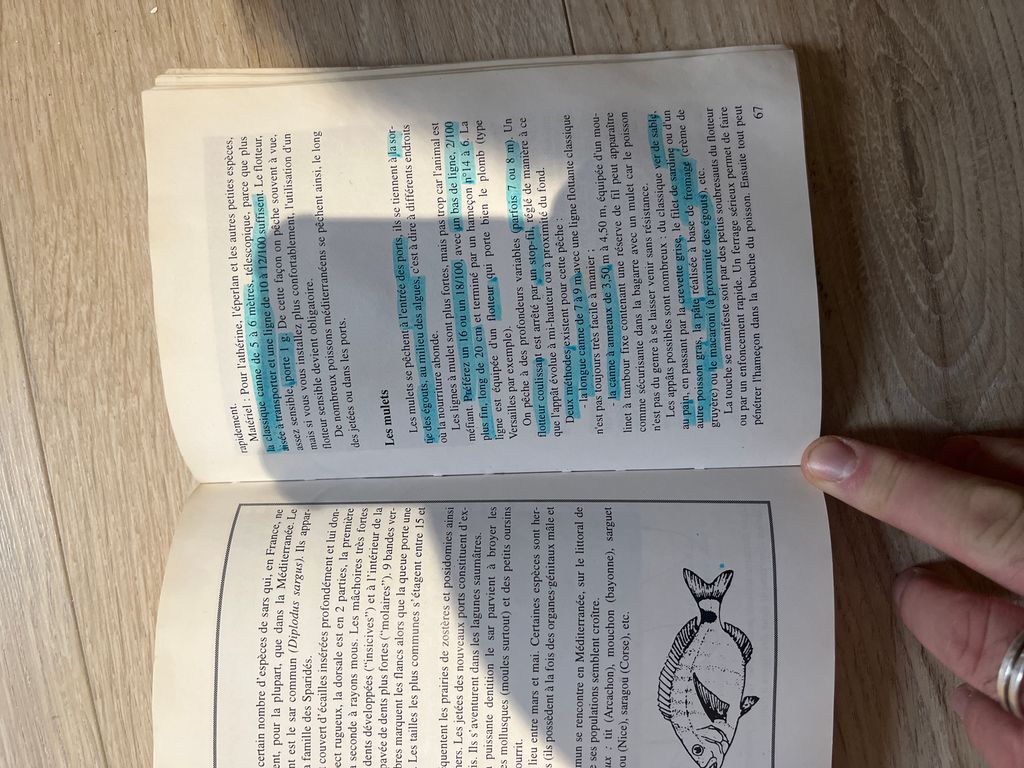 Toutes les pêches faciles au bord de la mer | Bernard Breton, Tajana Gérard, Régis Gérard