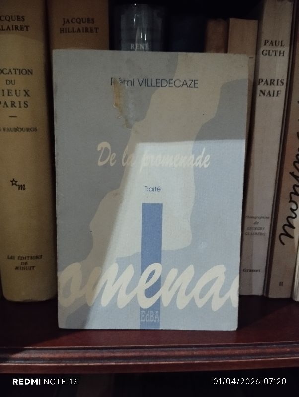 De la promenade : traité | Rémi Villedecaze, Nicole Lombard