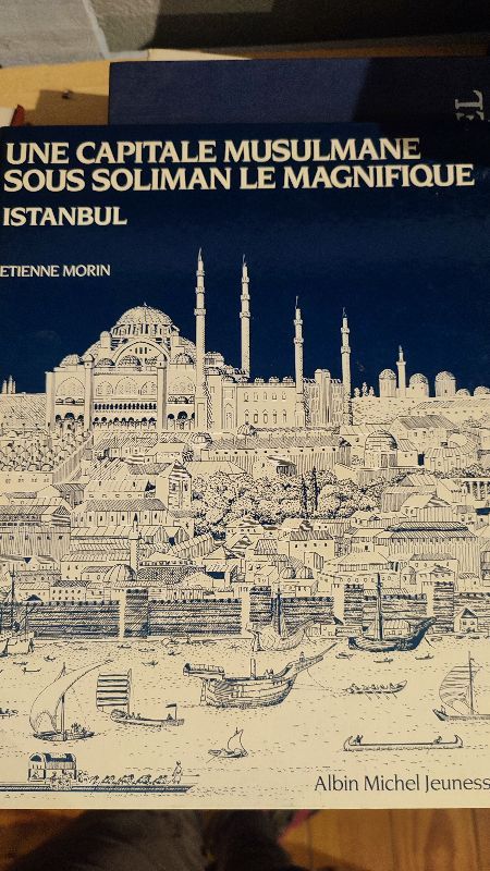 Une capitale musulmane sous Soliman le Magnifique, Istanbul | Etienne Morin