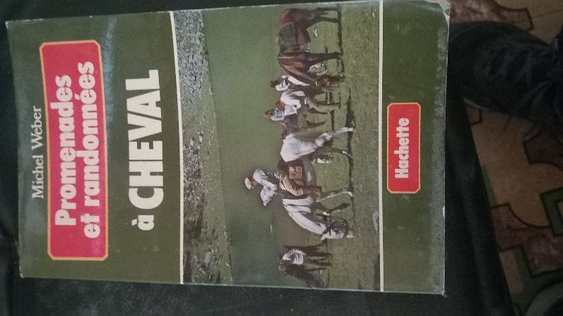 Promenades et randonnées à cheval | Michel Weber