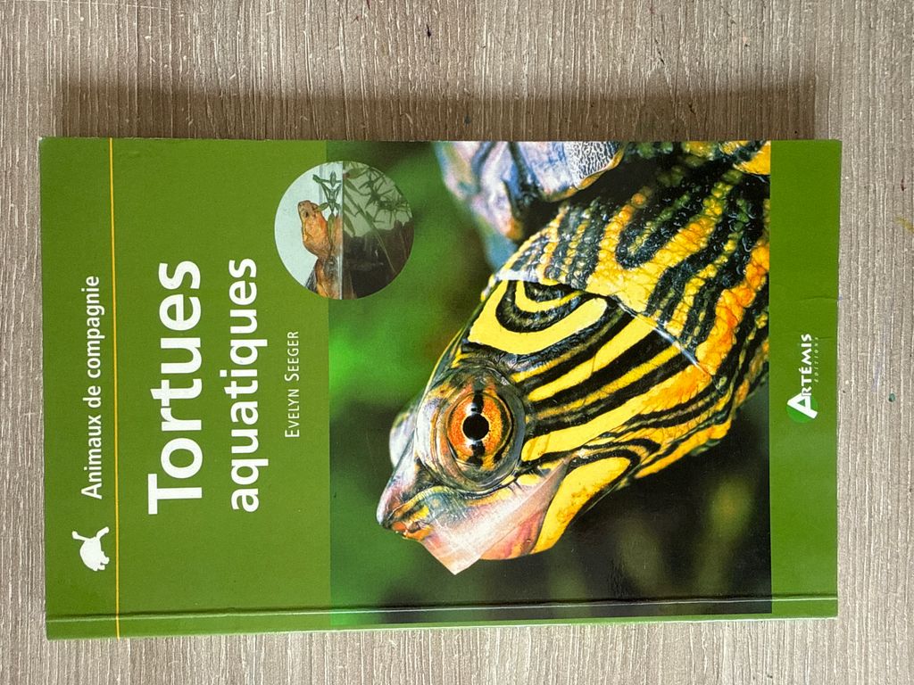 Tortues d'appartement | 