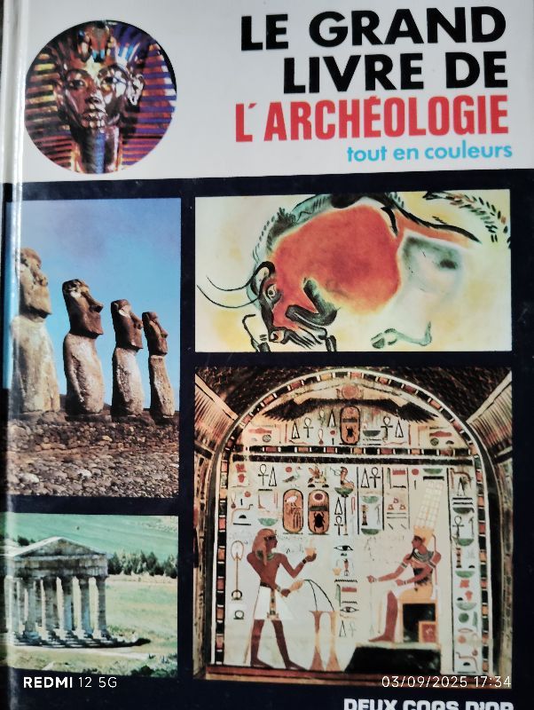 Le Grand livre de l'archéologie tout en couleurs | Roberto Bosi