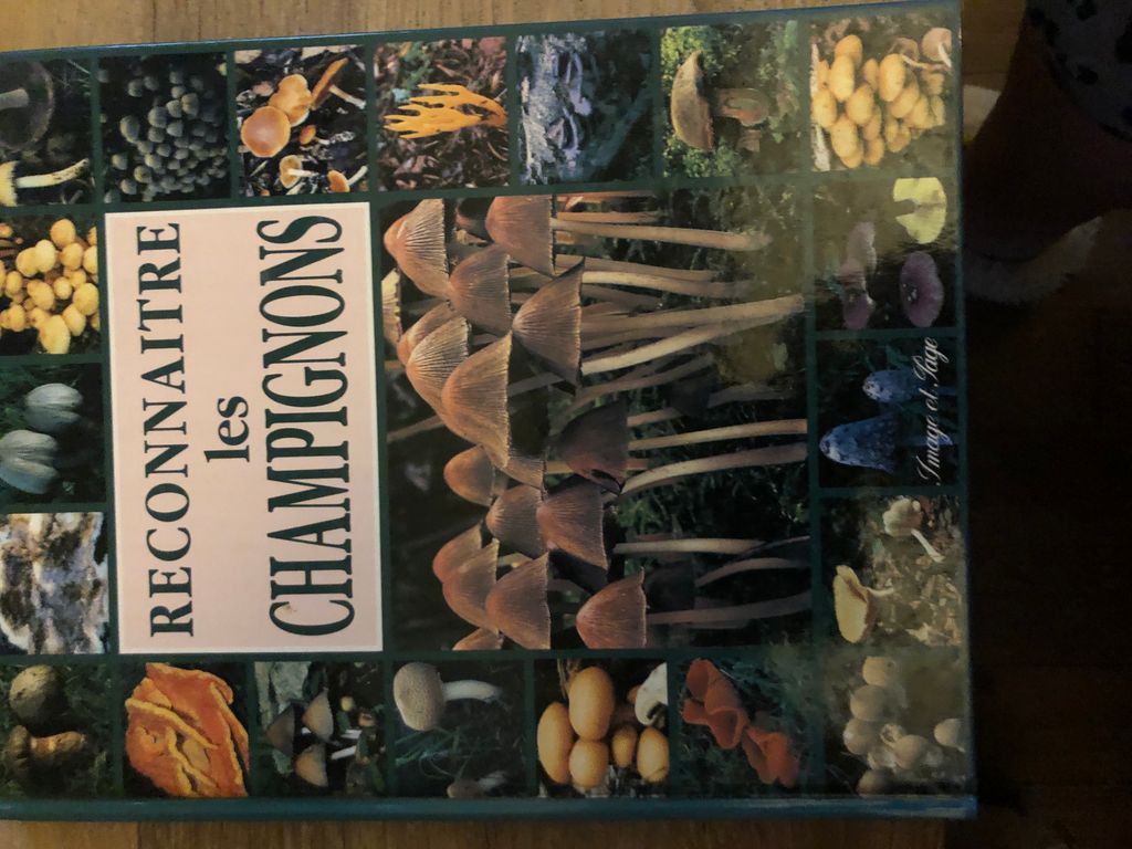Reconnaître les champignons | David Norman Pegler, Brian Spooner