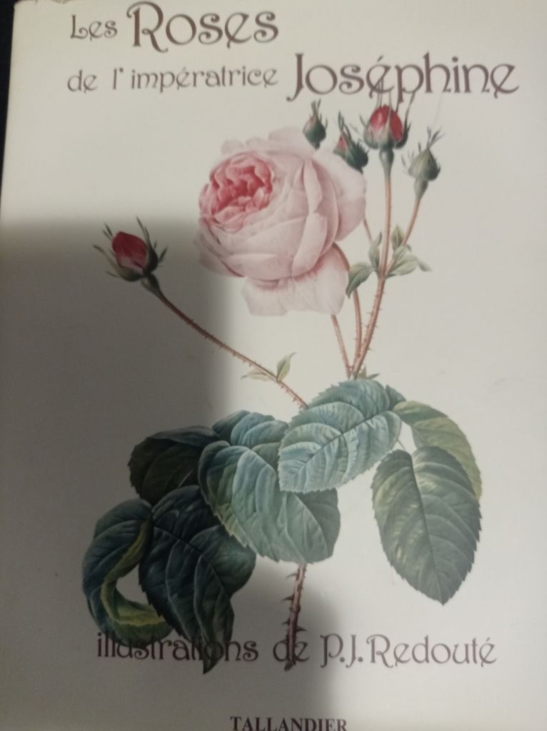 Les Roses de l'impératrice Joséphine | 