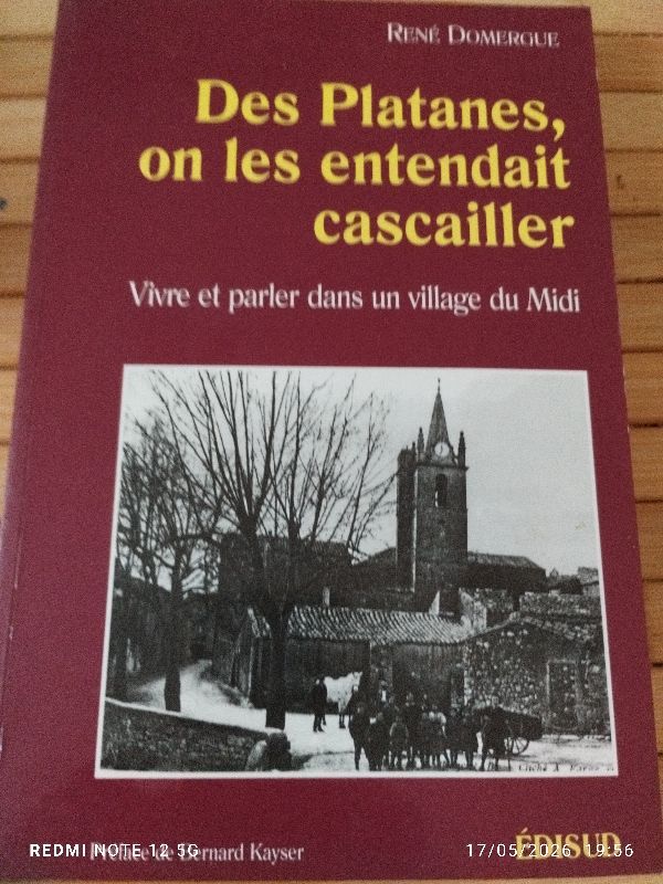 Des platanes, on les entendait cascailler : vivre et parler dans un village du Midi | René Domergue, Bernard Kayser