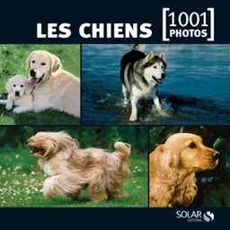 Les chiens | Yves Lanceau