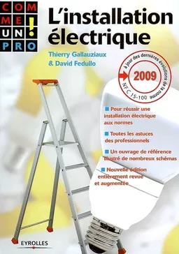 L'installation électrique : pour réussir une installation électrique aux normes, toutes les astuces des professionnels | Thierry Gallauziaux, David Fedullo