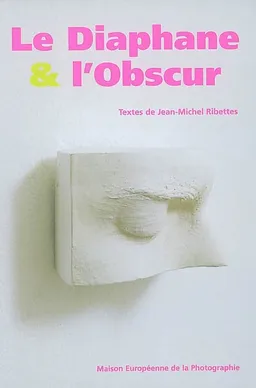 Le diaphane et l'obscur : une histoire de la diapositive dans l'art contemporain : exposition, Paris, Maison européenne de la photographie, 26 juin-8 sept. 2002 | Jean-Michel Ribettes
