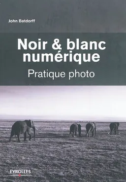 Noir et blanc numérique | John Batdorff, Danielle Lafarge, Etienne Laurent