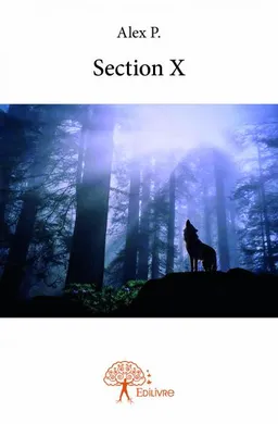 Section x | Alex P.