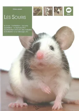 Les souris | Olivier Laurent