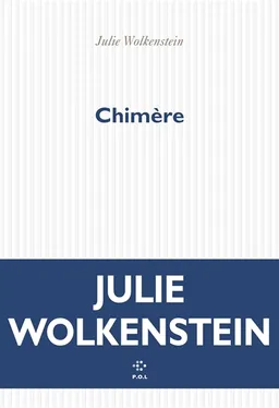 Chimère | Julie Wolkenstein