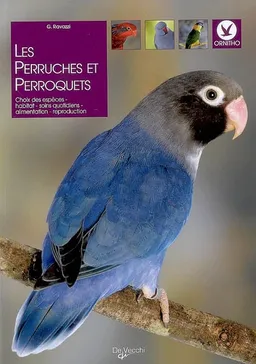 Les perruches et perroquets | Gianni Ravazzi