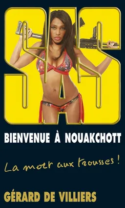 Bienvenue à Nouakchott | Gérard de Villiers