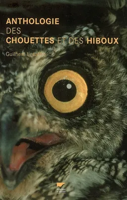 Anthologie des chouettes et des hiboux | Guilhem Lesaffre