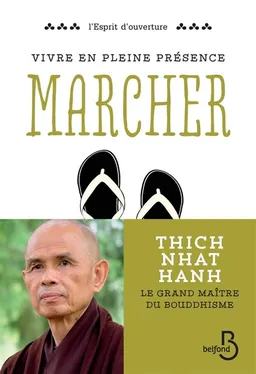 Vivre en pleine conscience. Marcher | Thich Nhât Hanh