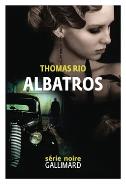 Albatros | Thomas Rio