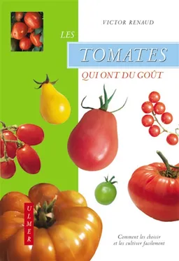 Les tomates qui ont du goût | Victor Renaud, Michel Lis